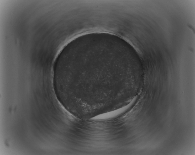 X0000098041508200804251027