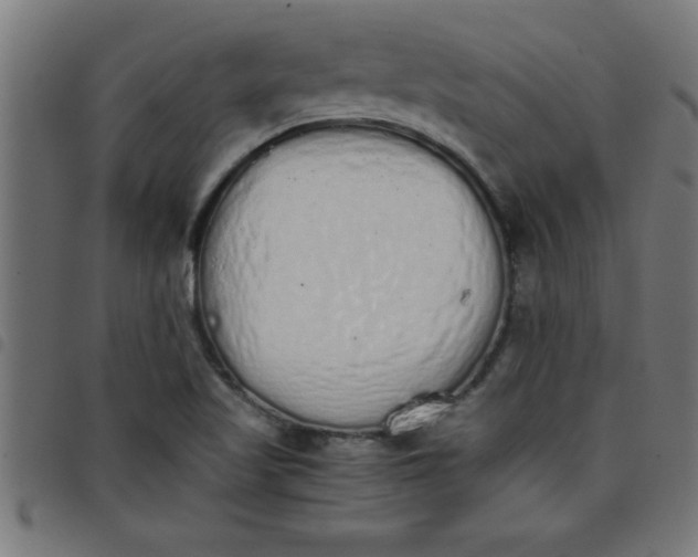 X0000098041509200804251027