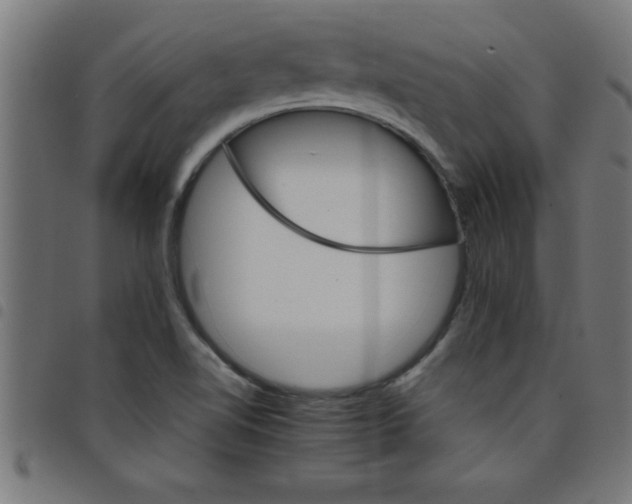 X0000098041510200804251027