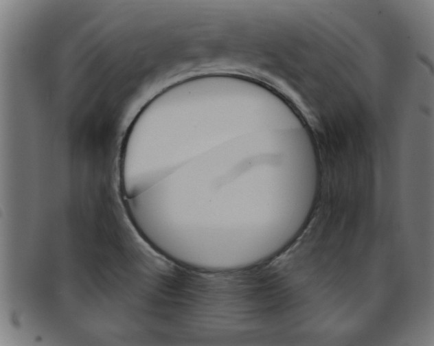 X0000098041512200804251027