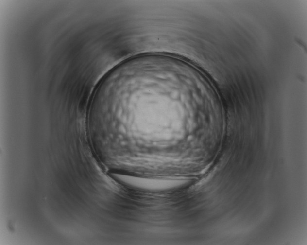 X0000098041513200804251027