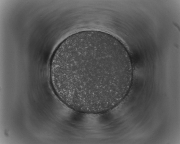 X0000098041514200804251027