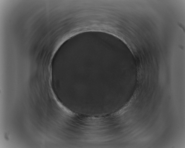 X0000098041515200804251027