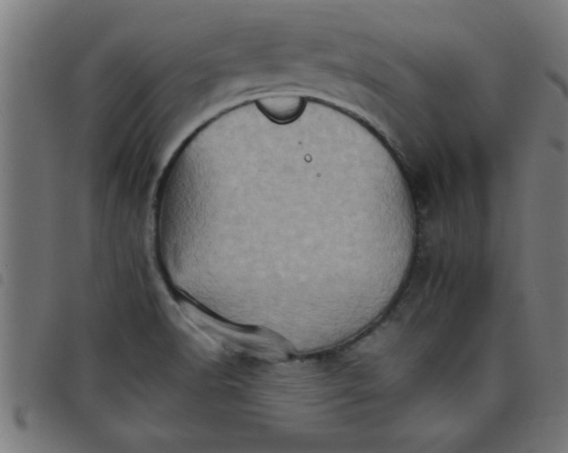 X0000098041518200804251027