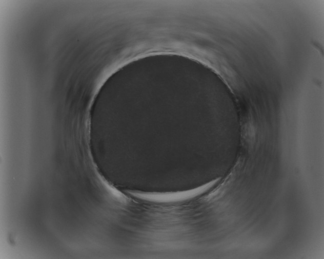 X0000098041519200804251027