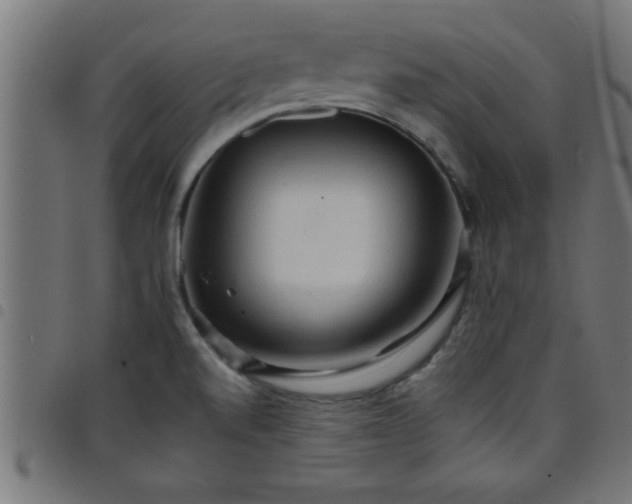 X0000098041520200804251027