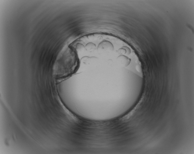 X0000098041521200804251027