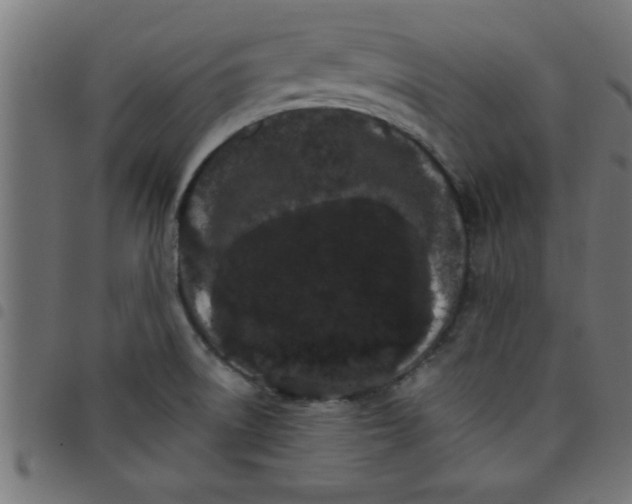 X0000098041522200804251027