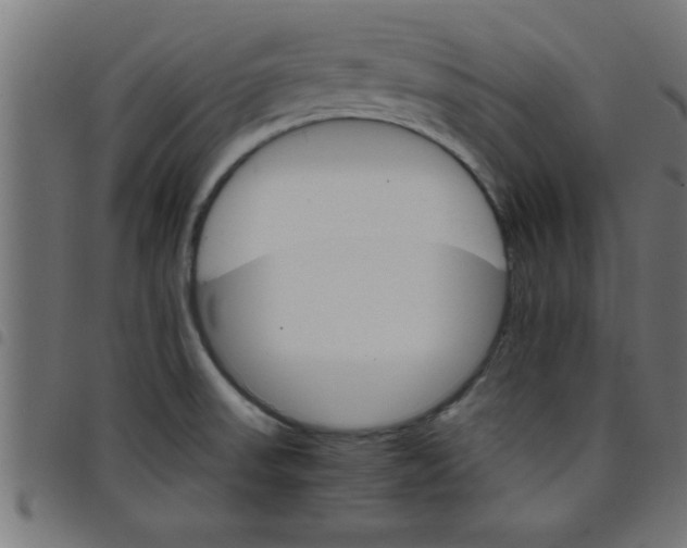 X0000098041523200804251027