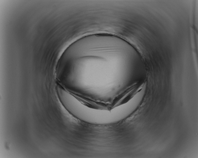 X0000098041524200804251027