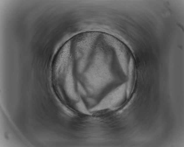 X0000098041525200804251027