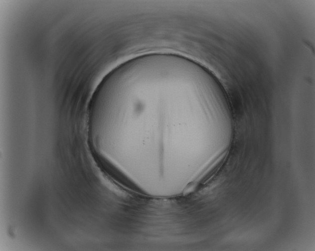 X0000098041526200804251027