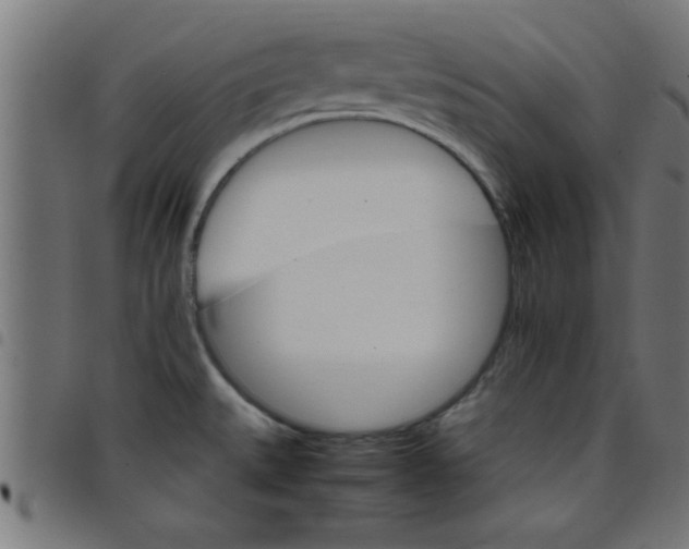 X0000098041527200804251027