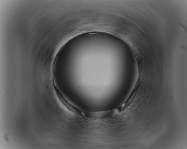 X0000098041528200804251027