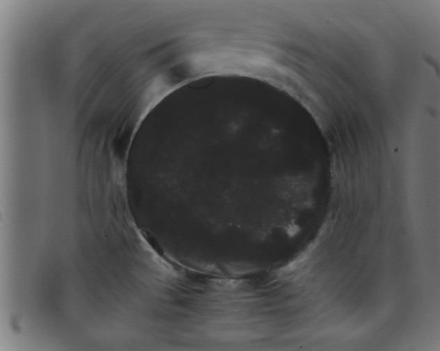 X0000098041529200804251027