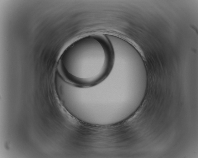 X0000098041530200804251027