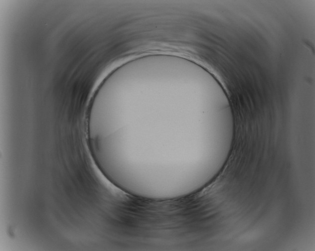 X0000098041531200804251027