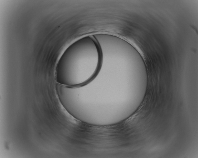 X0000098041532200804251027