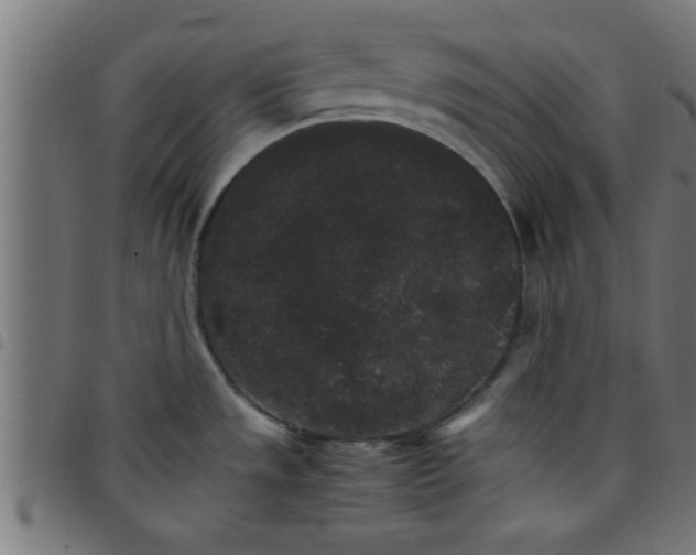 X0000098041533200804251027