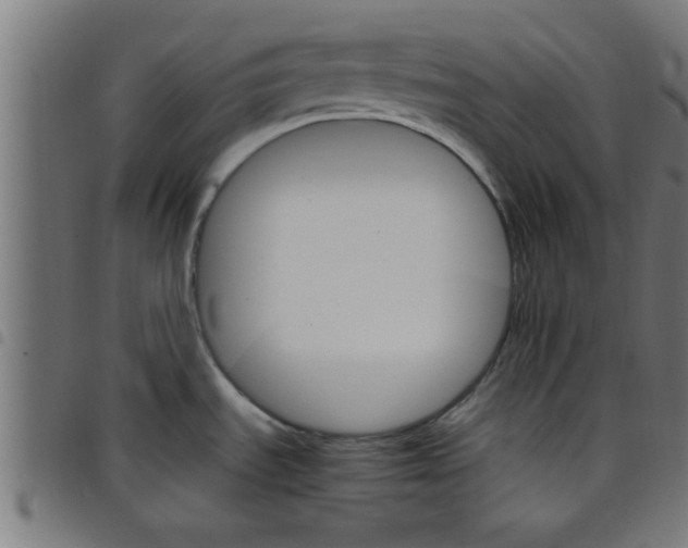 X0000098041535200804251027