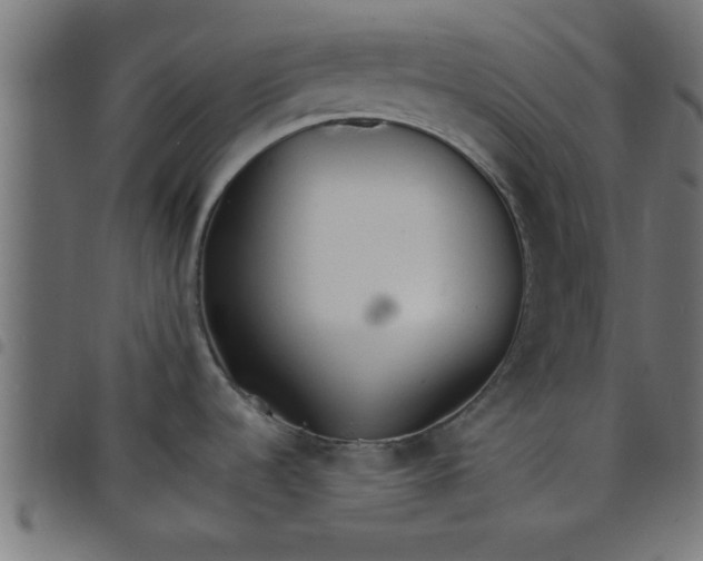 X0000098041536200804251027