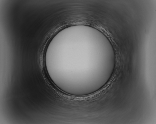 X0000098050002200803280739