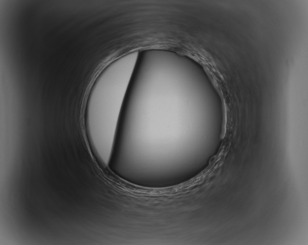 X0000098050003200803280739