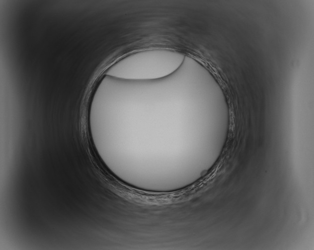 X0000098050004200803280739