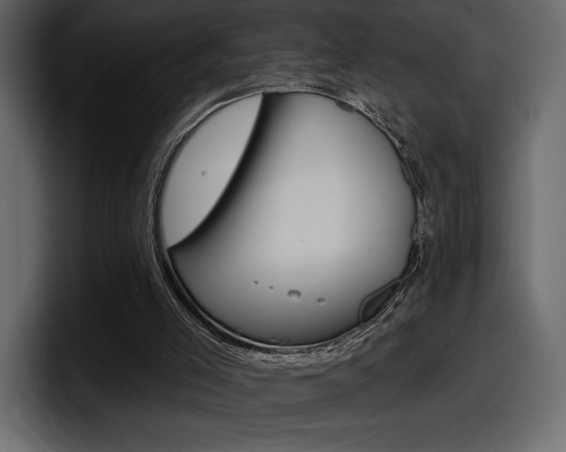 X0000098050005200803280739
