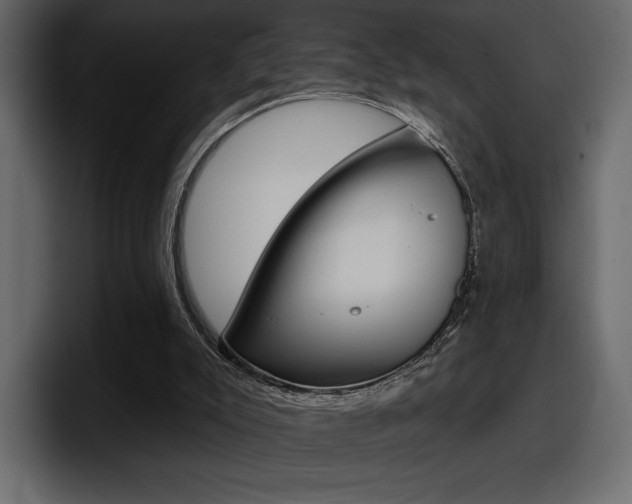 X0000098050007200803280739