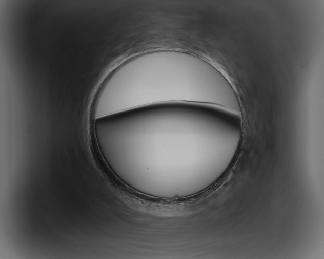 X0000098050008200803280739