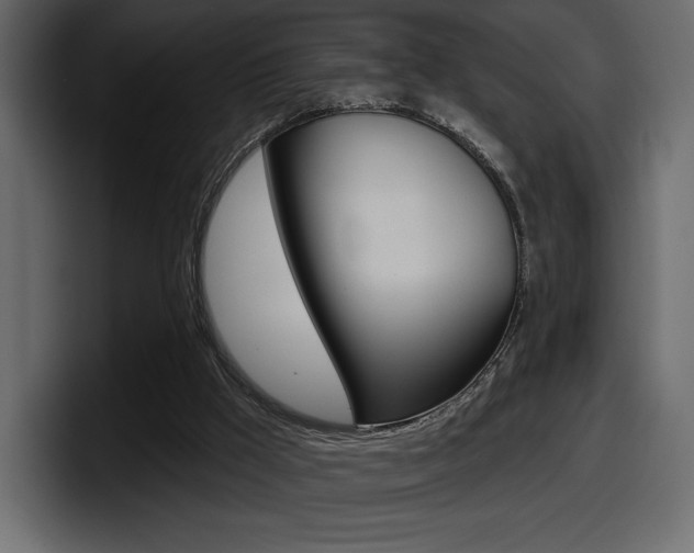 X0000098050009200803280739