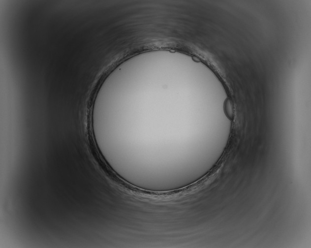 X0000098050010200803280739