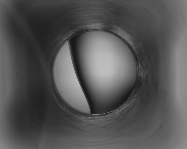 X0000098050013200803280739