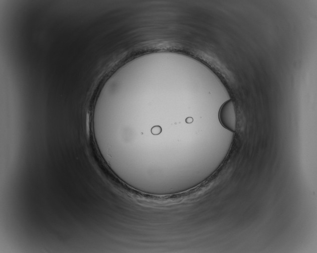 X0000098050014200803280739