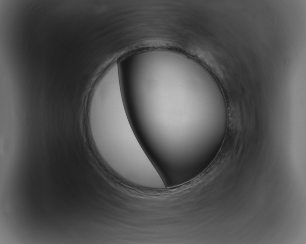 X0000098050015200803280739