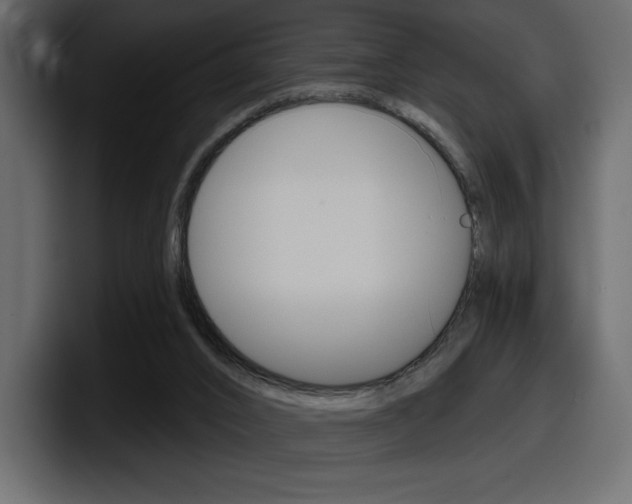 X0000098050016200803280739