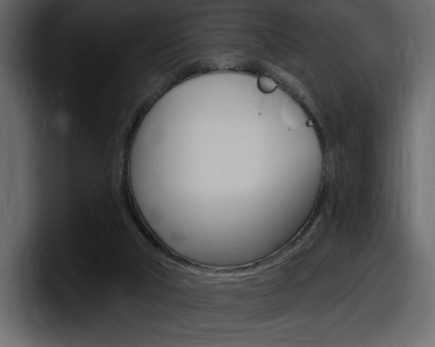 X0000098050018200803280739
