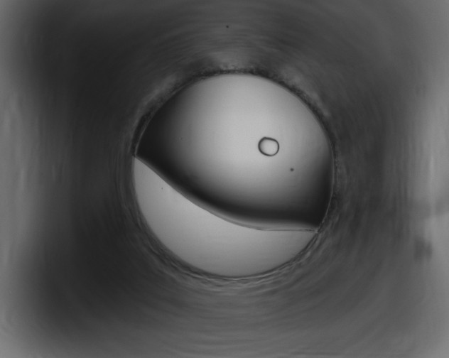 X0000098050019200803280739