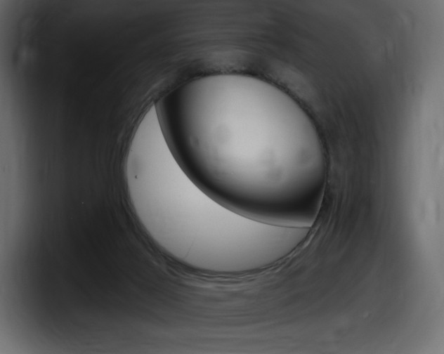 X0000098050021200803280739