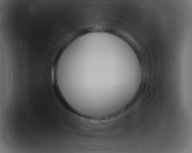 X0000098050022200803280739