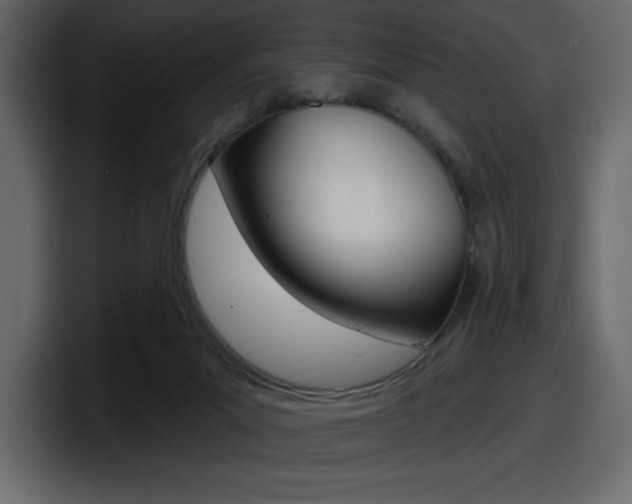 X0000098050023200803280739