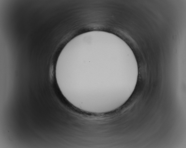 X0000098050024200803280739