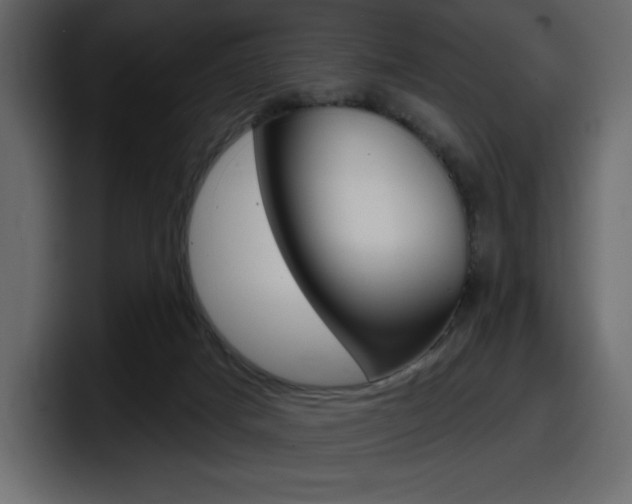 X0000098050025200803280739