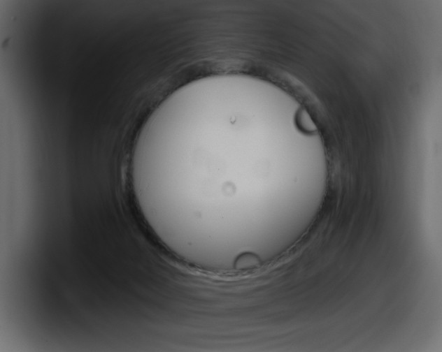 X0000098050026200803280739
