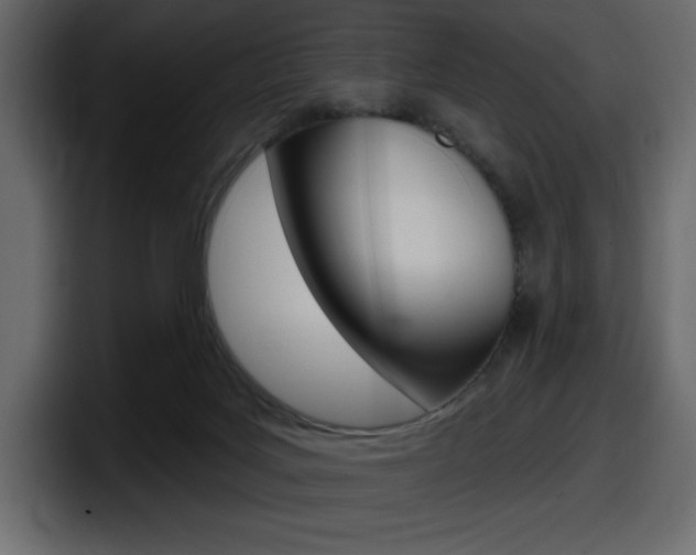 X0000098050027200803280739