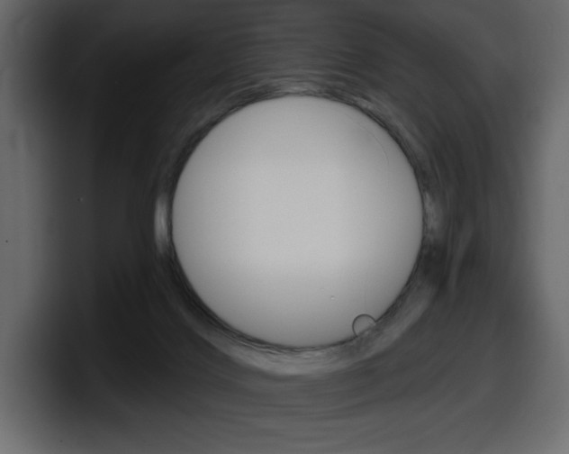 X0000098050028200803280739