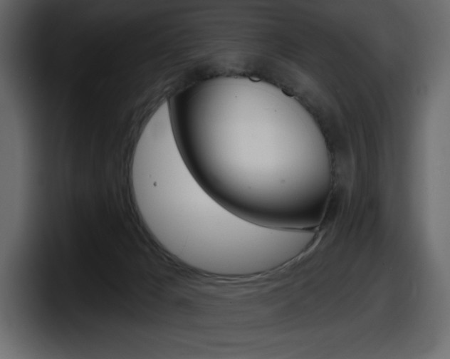 X0000098050029200803280739