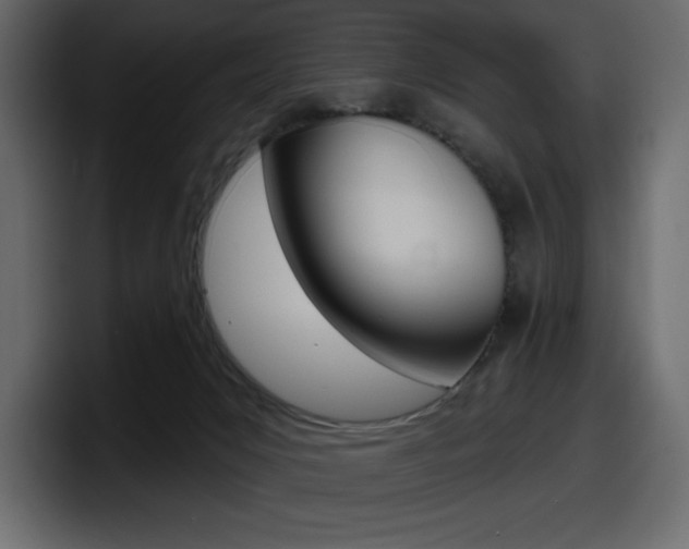 X0000098050031200803280739