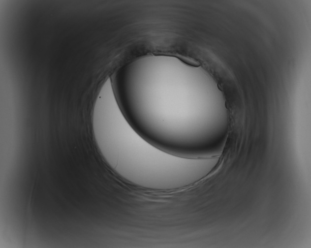 X0000098050033200803280739